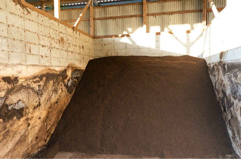 葉物野菜がよく育つ